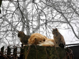 dscn2746-1.jpg