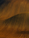 398215_detail.jpg
