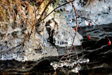 dsc_4811-cp.jpg