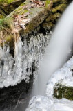 dsc_6831-–-kopie.jpg