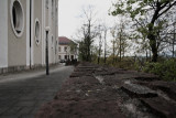 img_4123.jpg