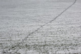 dsc_1833.jpg