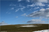 dsc_1456.jpg
