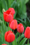 dsc_7268.jpg