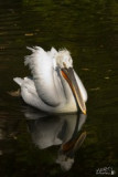 zoo-praha-2-026.jpg