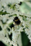 dsc_7625-vyrez-2.jpg