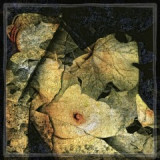 abstract-tone-act-003.jpg