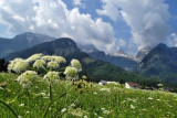 p7100655-z.jpg
