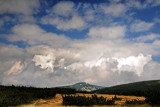 dsc_7827-p.jpg