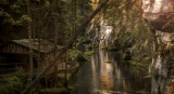 _mg_8784-edit.jpg