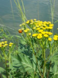 dscn0523.jpg
