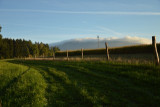 dsc_0087.jpg