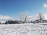 dscf1279.jpg