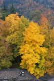 img_7179-(1)a.jpg