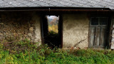 p1330117.jpg