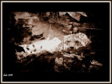 dscf2109.jpg