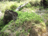 100_3306.jpg