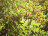 100_3312.jpg