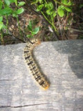 100_3375.jpg