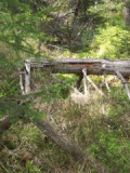 100_3378.jpg