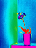 pb0101o78.jpg