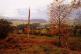 dsc_0073-(2).jpg
