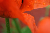 dsc_0146.jpg