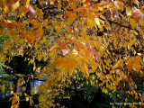03-dsc00007.jpg
