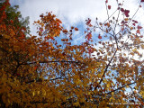 06-dsc00011.jpg