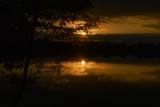 dsc_1259.jpg