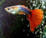 2011_0829ofotodiasrpen11foto0048.jpg