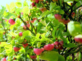 original_1368359344-2969.jpg