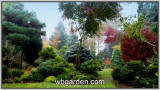 wbgarden-ornamental-garden-2.jpg