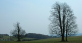 original_1366546017-2969.jpg