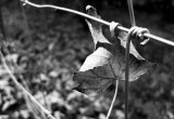 img_0419-007.jpg