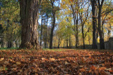 doksany-07.jpg
