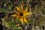 dsc_9224.jpg