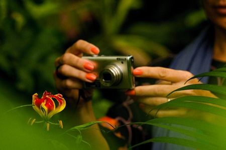 malý fotoaparát, velké fotografie