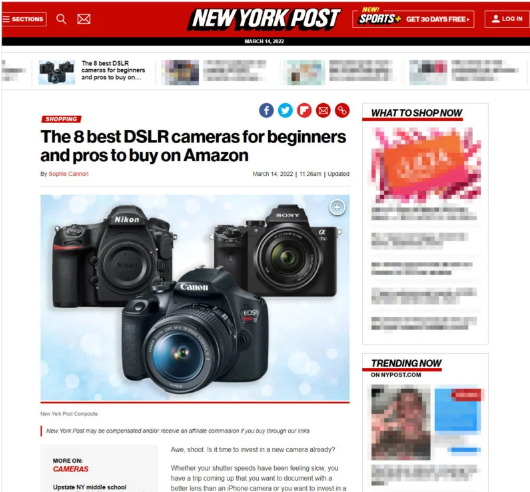 (Snímek článku New York Post pro 8 nejlepších „DSLR“ fotoaparátů)